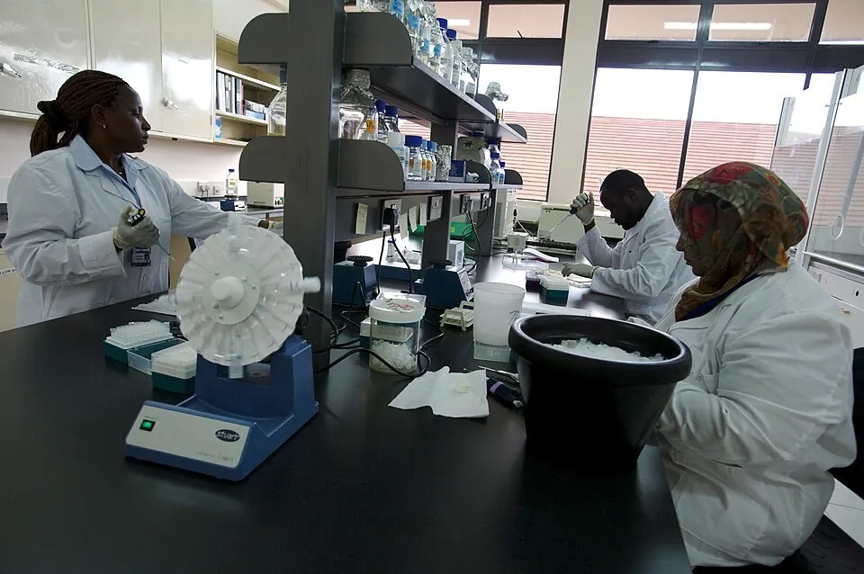 Scientists working in a laboratory