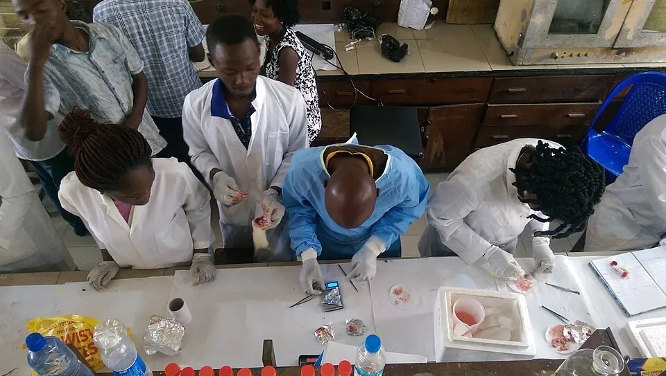 Young health science students at work